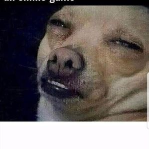 Meet your Posher, Isaac